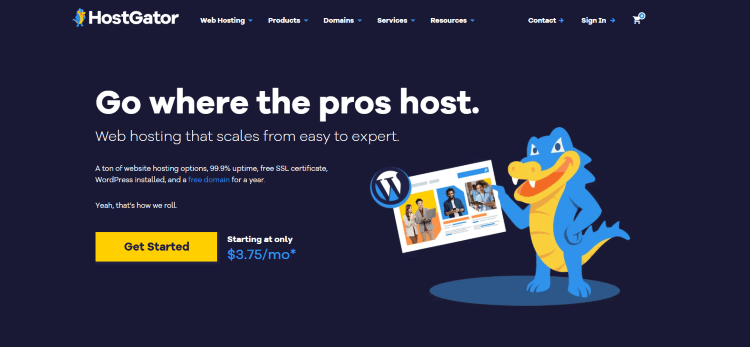 hostgator cpanel hosting